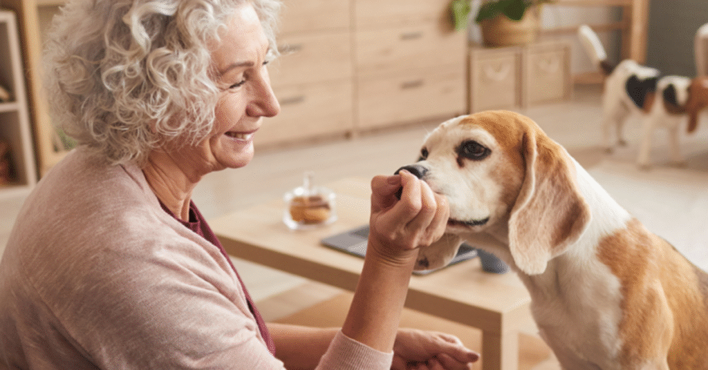 The Power of Pet Therapy
